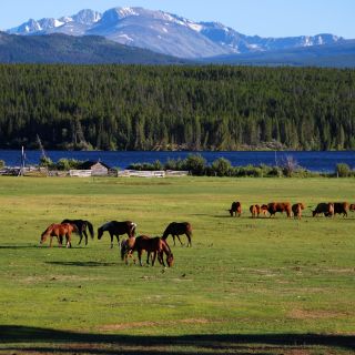 Ausblick von der Terra Nostra Guest Ranch