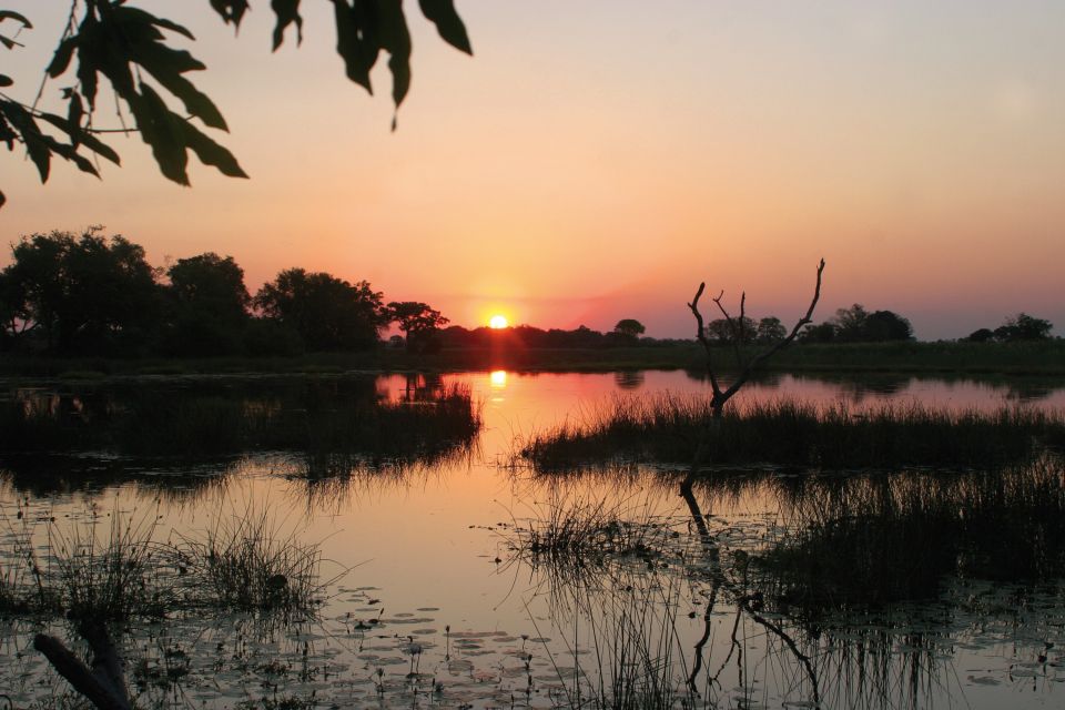 Szene im Okavango-Delta, Botswana