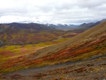 Herbstliche Tundra, Tombstone Mountains, Yukon
