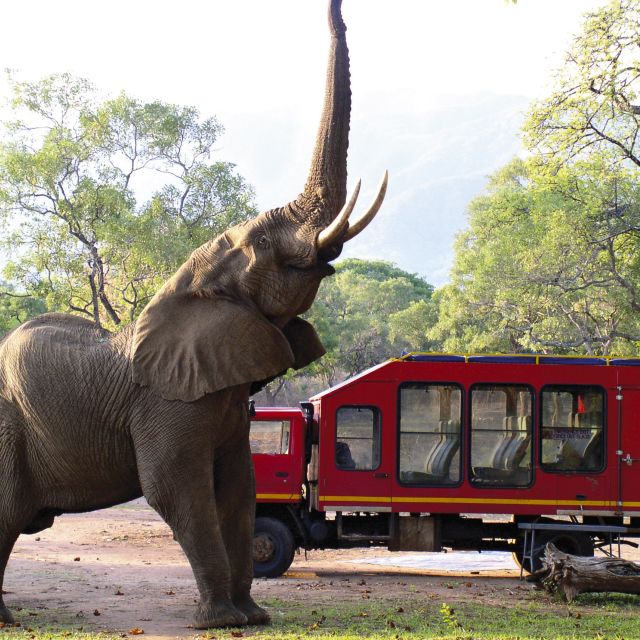 Elefant vor einem Sunway Safaritruck