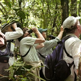 Unterwegs im spektakulerem Dschungel auf der Suche nach Tieren und der außergewöhnlichen Pflanzenwet