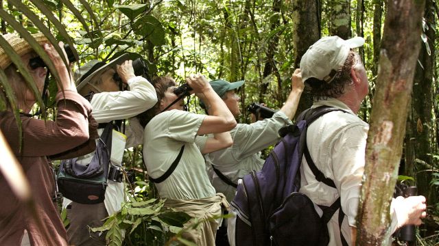 Unterwegs im spektakulerem Dschungel auf der Suche nach Tieren und der außergewöhnlichen Pflanzenwet