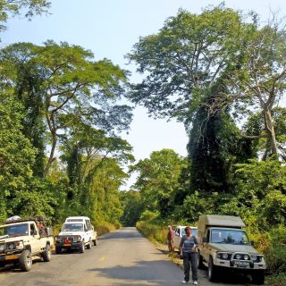 Safari in Angola