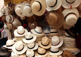 Die Panamahüte schützen vor der großen Sonneneinstrahlung