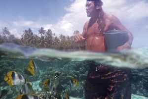 Unterwasserwelt auf Tahiti