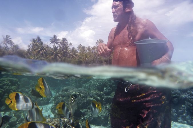 Unterwasserwelt auf Tahiti © Diamir