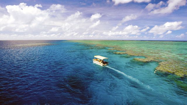 Great Barrier Reef, mit dem Glasbodenboot unterwegs