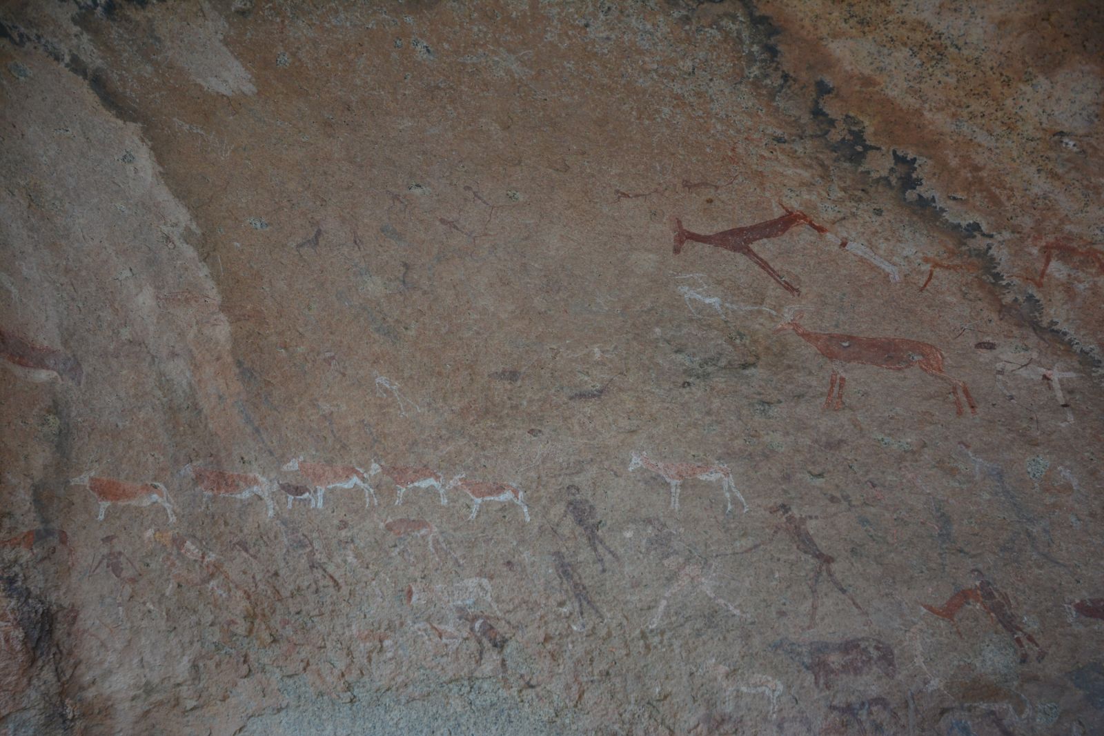 Das Alter der Höhlenmalereien der White Lady wird auf ca. 2000-4000 Jahre geschätzt. Zu sehen sind die Abbilder verschiedener Tiere. Unterschiedliche Interpretationen besagen, dass die Hauptfigur entweder weiblichen oder männlichen Geschlechts sei.