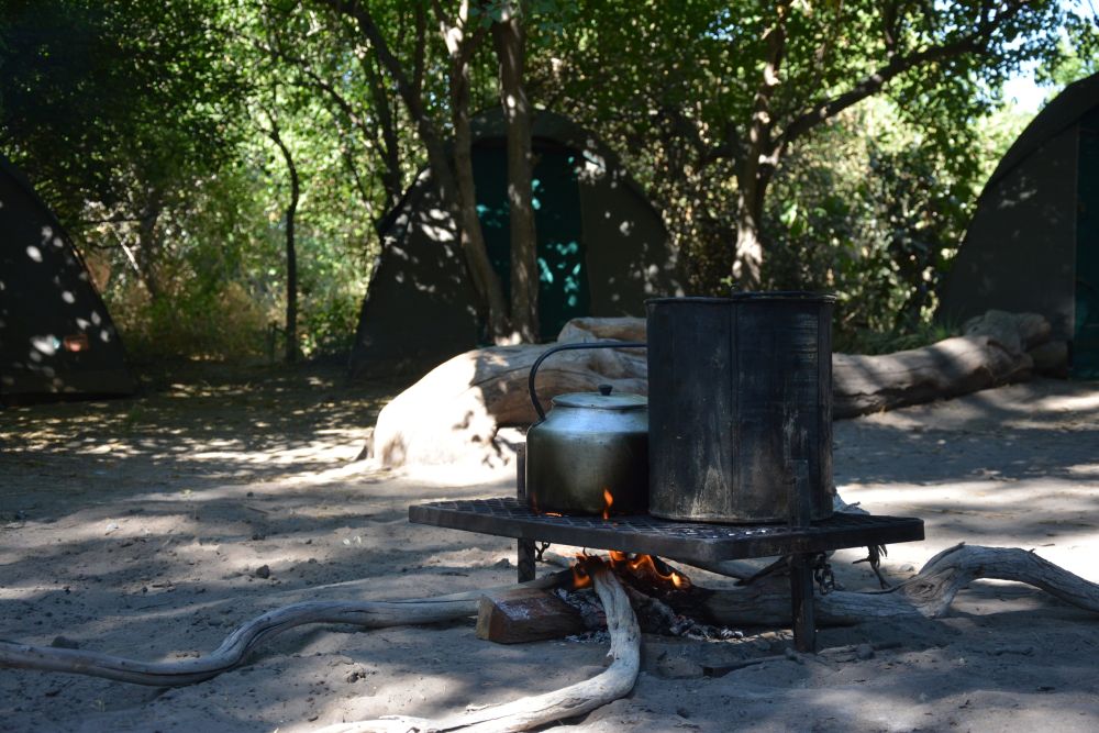 Nach dem San-Besuch geht es nach Maun, wo sich die Gruppe auf zwei Nächte im Camp inmitten des Okavango-Deltas vorbereitet. Geschlafen wird komfortabel in gemütlichen Safari-Zelten im Campingbett – ganz kuschlig mit Decke und Kissen. Und die Geräuschkulis