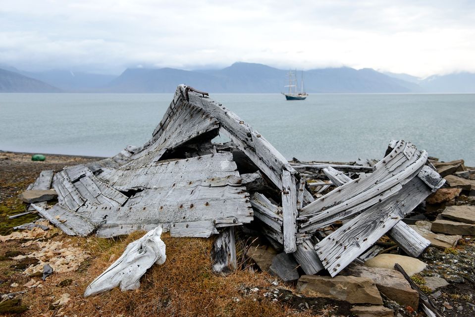 Botschaft aus der Vergangenheit: Beluga-Schädel und Boot, Bamsebu