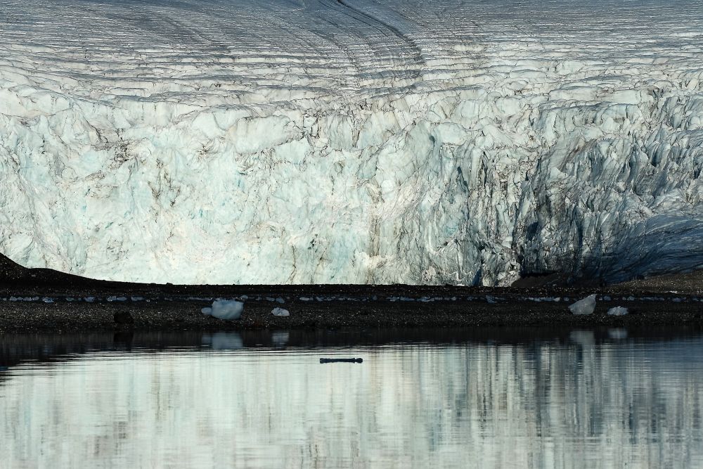 Großes Eis: Gletscherkante des Gaffelbreen, St. Jonsfjord
