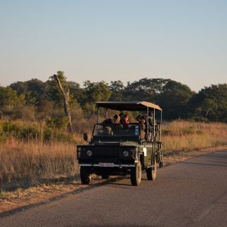 Im offenen Geländefahrzeug durch den Hwange-Nationalpark