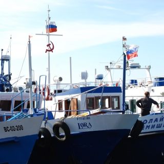 Fischerboote im Hafen