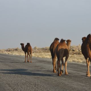 Straße quer durch die Wüste