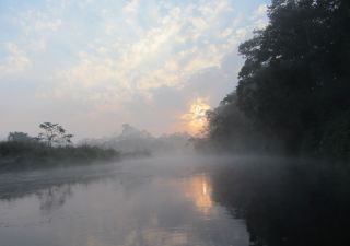 Mystische Stimmung im Chitwan-Nationalpark