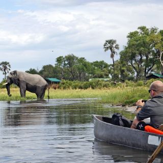 Elefantensichtung mit dem Mokoro