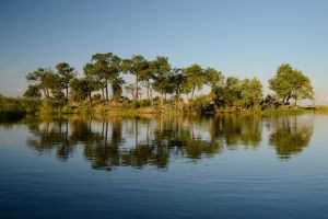 Auf Fotosafari per Boot in der Wasserwelt des Kwando-Flusses