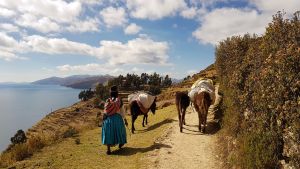 Unterwegs auf der Sonneninsel im Titicacasee