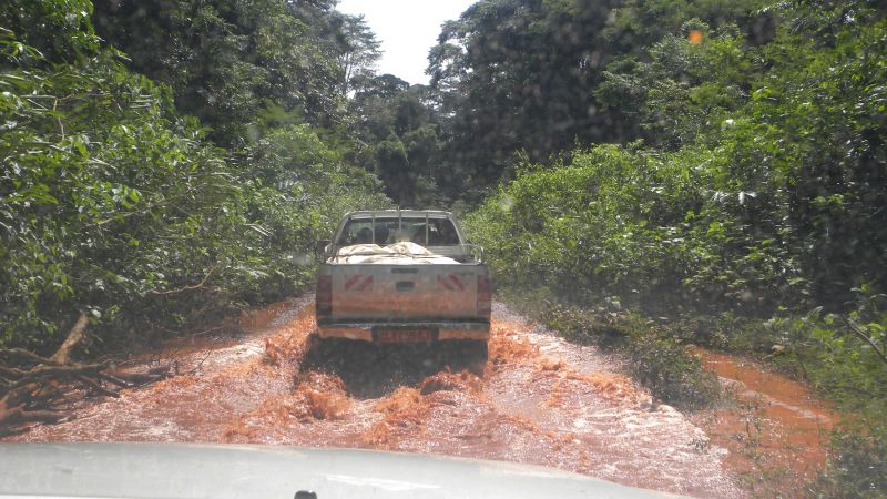 Regenwaldexpedition in Kamerun und Zentralafrika