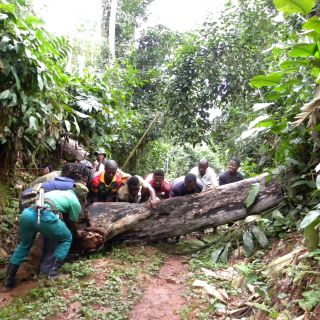 Regenwaldexpedition in Kamerun und Zentralafrika