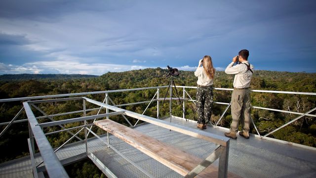 Vogelbeobachtung auf dem Canopy Turm der Cristalino Jungle Lodge
