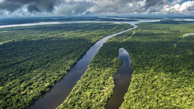 Weitblick über das Mamiraua-Reservat im Amazonasregenwald