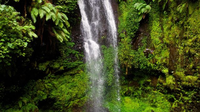 Wasserfall im Montagne d&#039;Ambre-Nationalpark