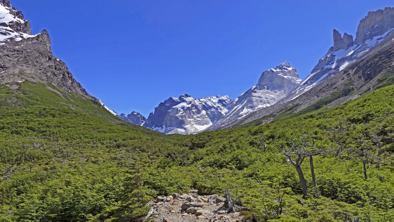 Blick in das Französische Tal im Nationalpark Torres del Paine © Diamir