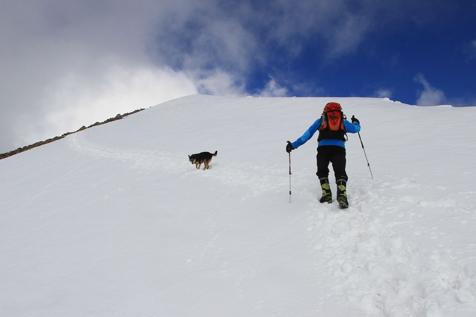 Auf den Hund gekommen" – beim Aufstieg zum Dzo Jongo East (beg)leitet uns ein zutraulicher Vierbeiner aus dem letzten Dorf bis hinauf zum 6214m hohen Gipfel!