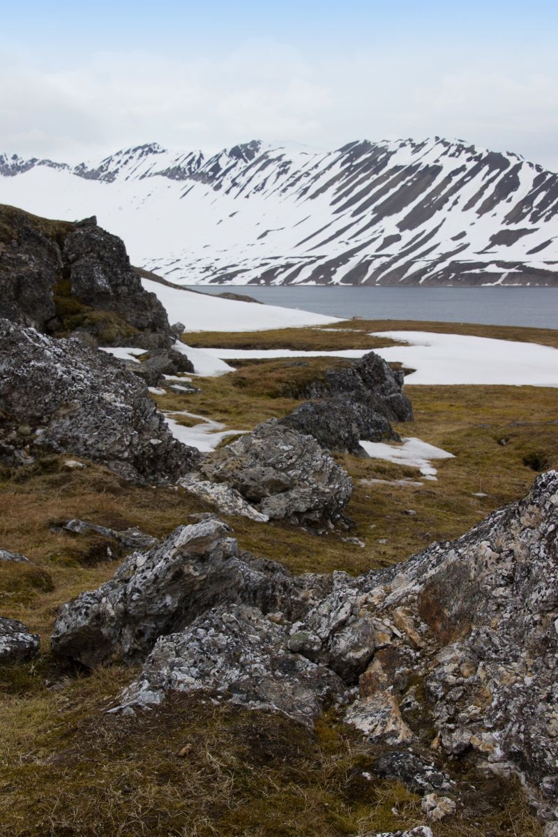 Unterwegs in der Tundra Spitzbergens