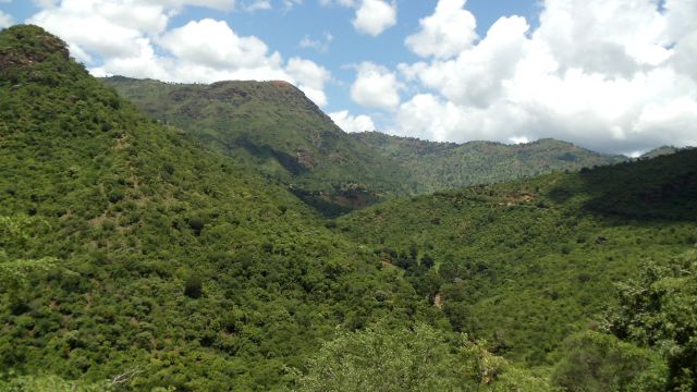 In den Usambara Mountains