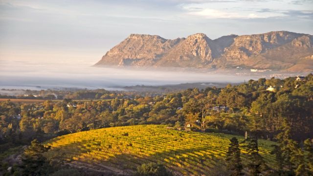 Weingüter und Berge in den Winelands, Cape Wine Route