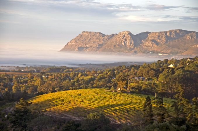 Weingüter und Berge in den Winelands, Cape Wine Route © Diamir
