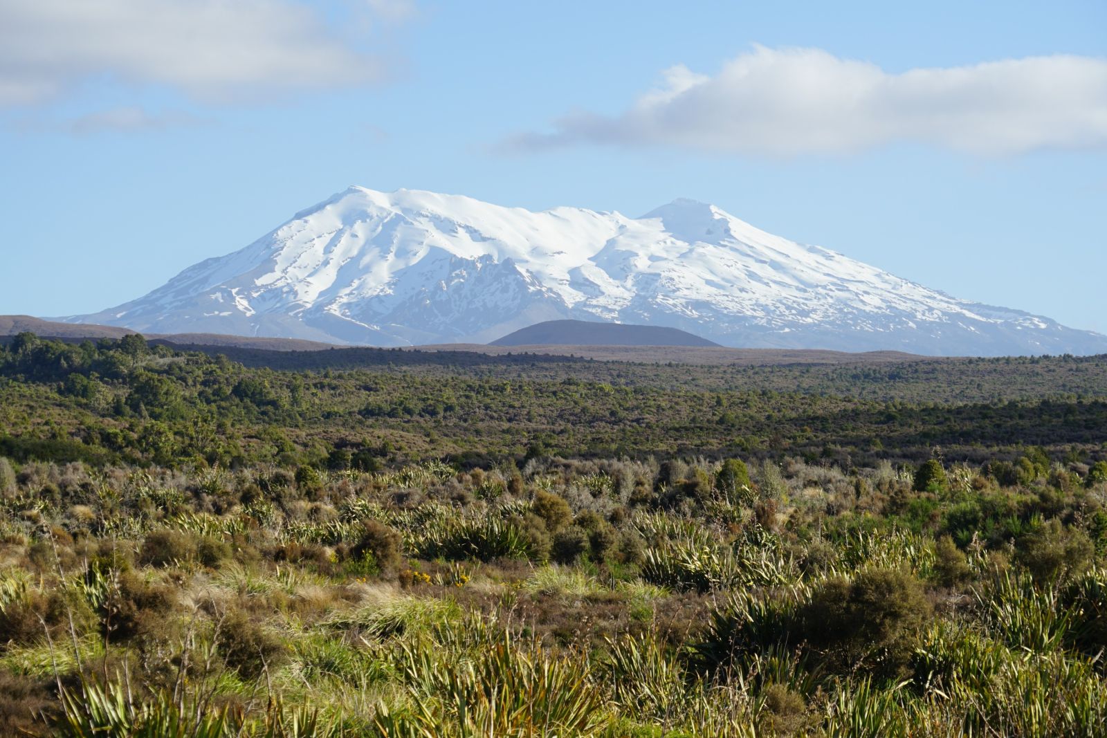 Tolle Landschaften entlang der höchsten Berge der Nordinsel – hier im Bild der Mt. Ruapehu mit seinen 2797 Metern.