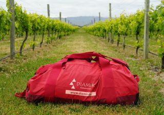 In den Weinfeldern des Marlboroughs im Norden der Südinsel findet man die besten Weine Neuseelands.