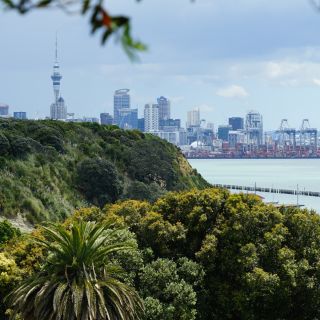 Zum Abschied ein Blick auf die Skyline Aucklands mit dem höchsten Fernsehturm der Südhalbkugel, dem Sky Tower mit 328 Metern. „Koanga“ – Neuseeland wartet auf Sie!