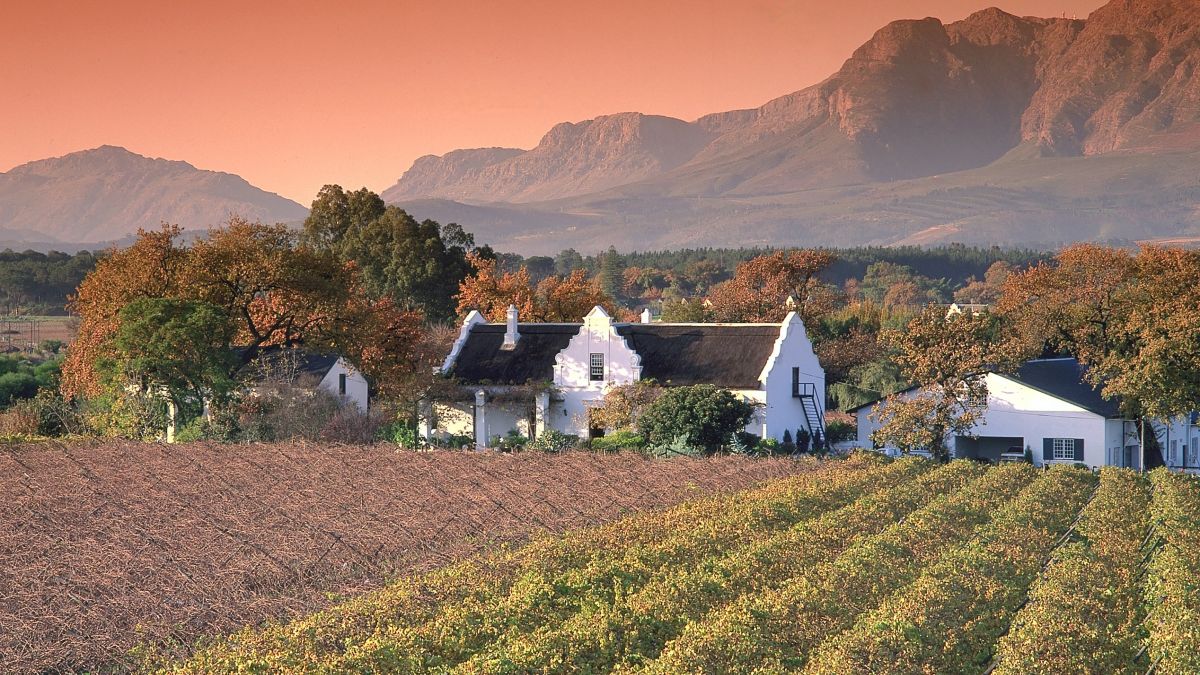 Weingut in Südafrika: Übernachtungen sind oft möglich