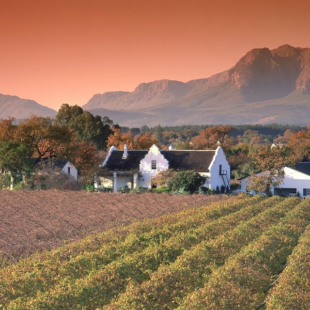 Stellenbosch: Synonym für guten Wein und gutes Essen