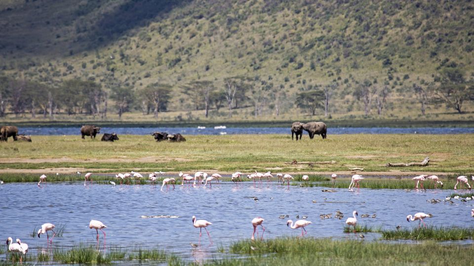 Lake-Nakuru-Nationalpark bietet einmalige Naturschauspiele