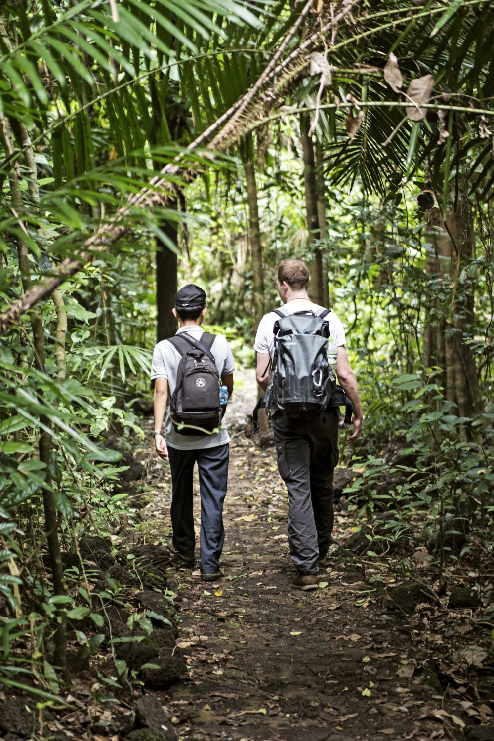 Wanderung im Dschungel von Vietnam