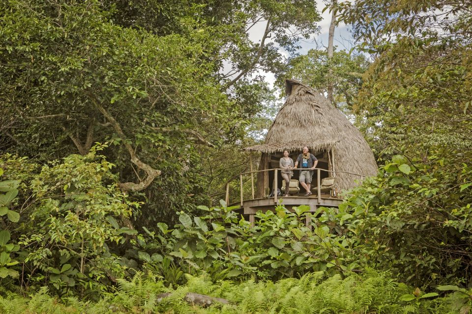 Lango Camp, Hütten eingebettet in die Natur