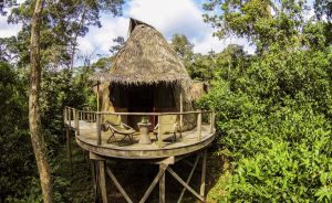 palmenbedeckten Hütte im Ngaga Camp