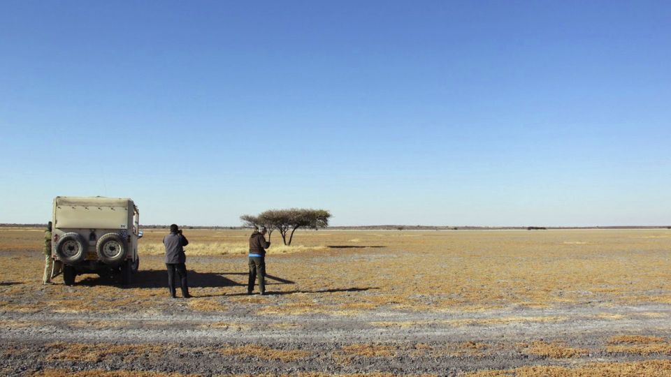 Central Kalahari
