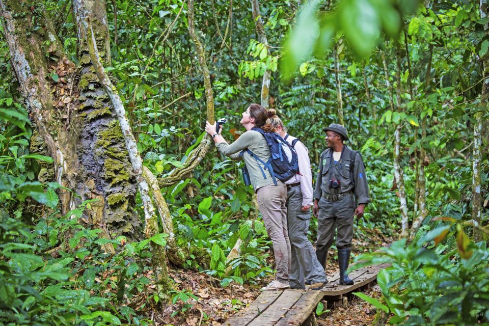 Fuß-Safari im Regenwald