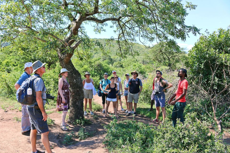 Fuß-Safari im  Mkuze-Wildreservat