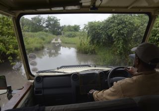 Unterwegs auf den Pisten im Moremi und Chobe während unseres Regenzeit-Aufenthaltes