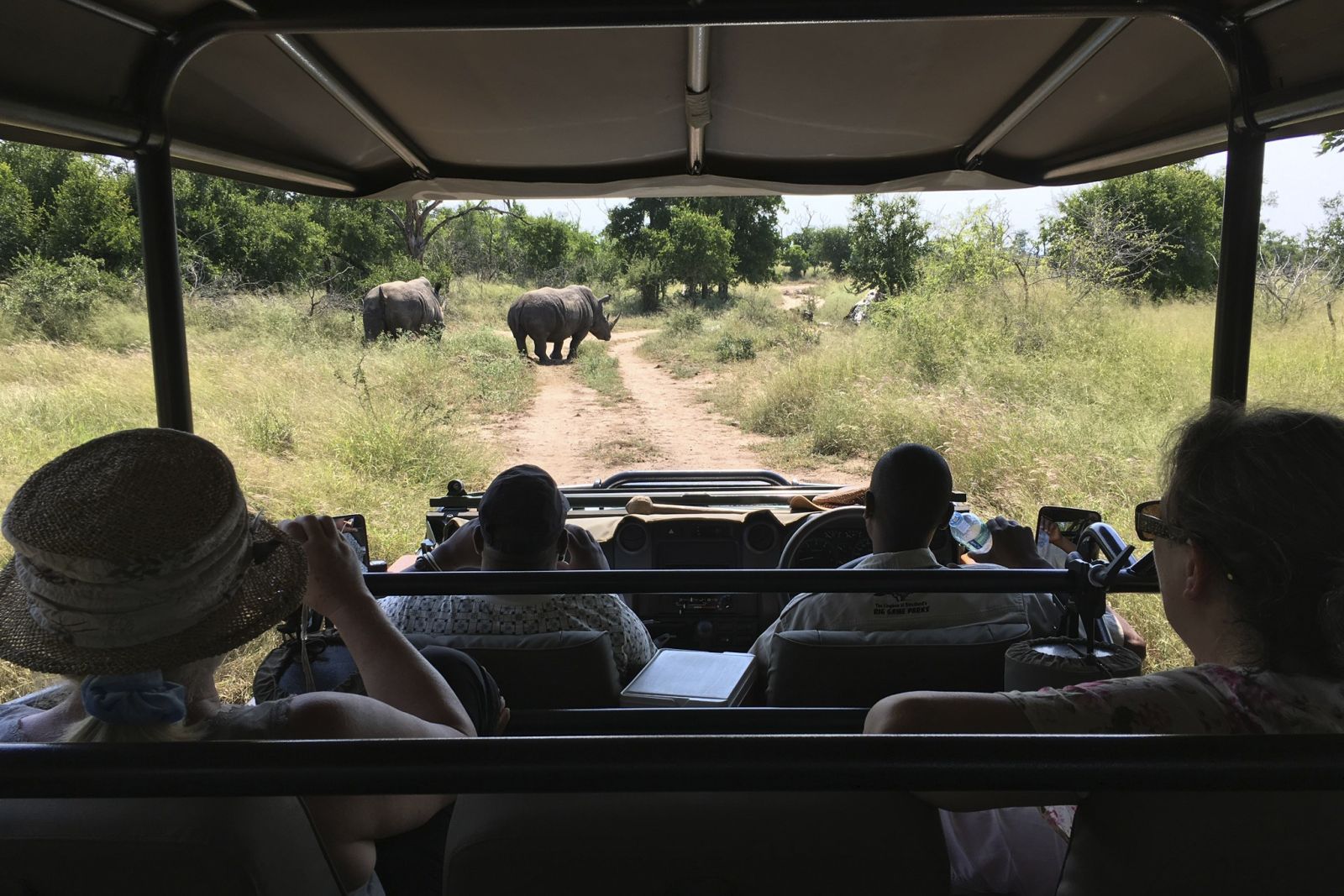 Nashörner im Hlane-Nationalpark, Eswatini