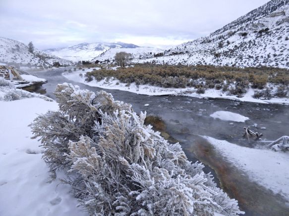 Flusslandschaft im Winter im Yellowstone-Nationalpark