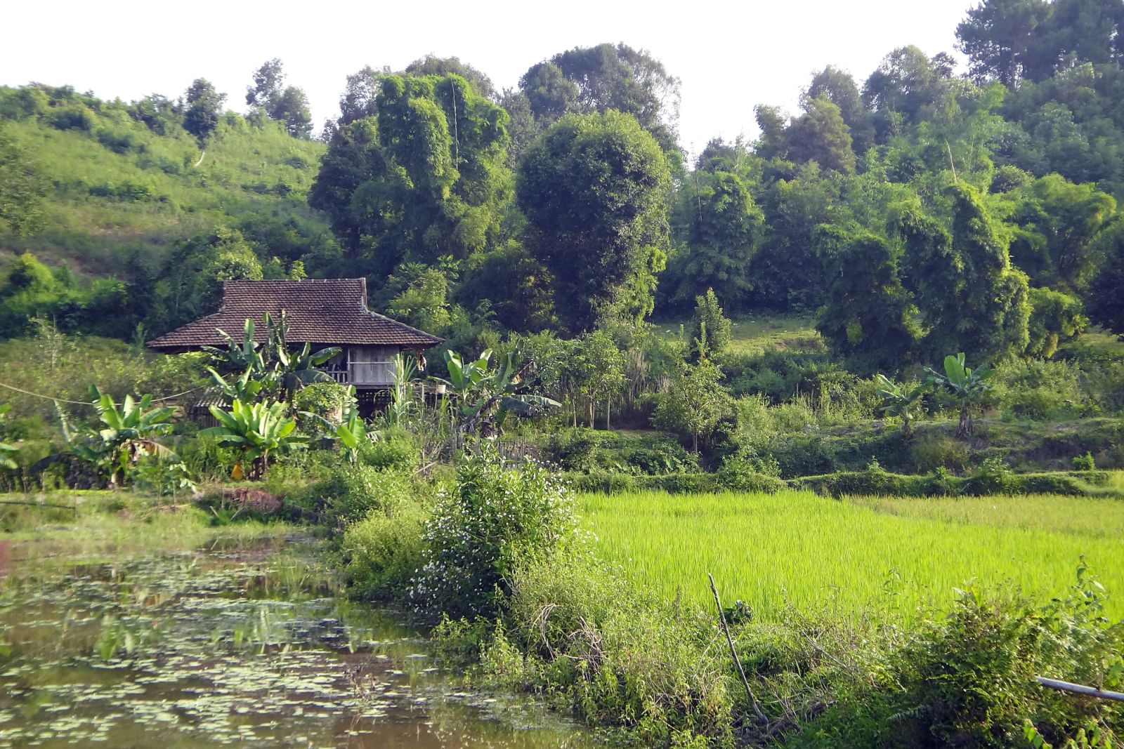 Dorf der schwarzen Thai in der Nähe von Dien Bien Phu