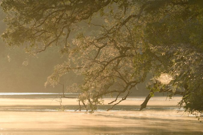 Morgenstimmung am Chobe-Fluss © Diamir